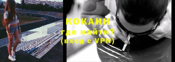 твердый Богородицк
